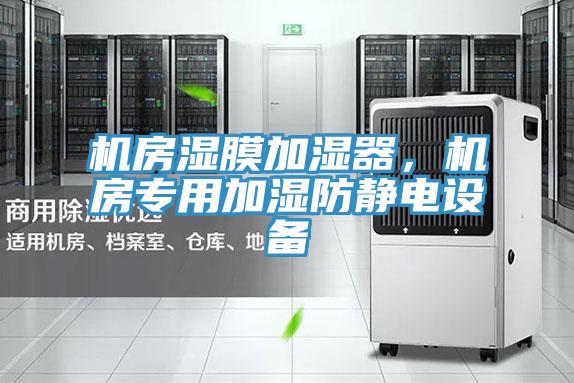 机房湿膜加湿器，机房专用加湿防静电设备