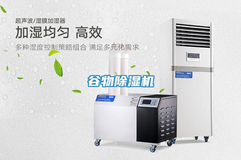 谷物小黄片直播视频