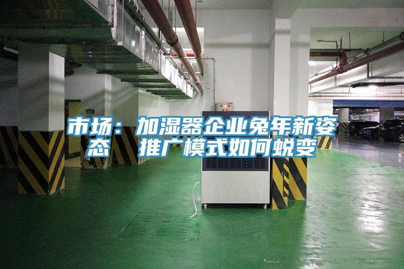 市场：加湿器企业兔年新姿态  推广模式如何蜕变