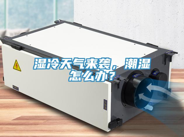 湿冷天气来袭，潮湿怎么办？