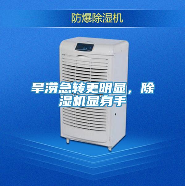 旱涝急转更明显，小黄片直播视频显身手