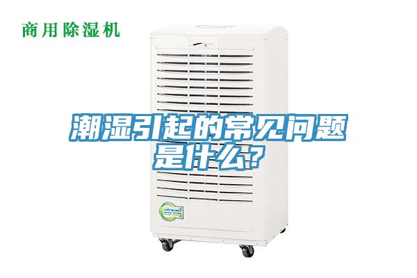 潮湿引起的常见问题是什么？