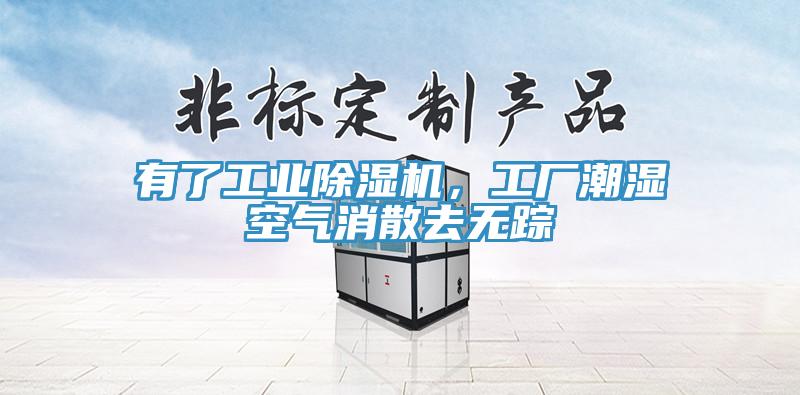 有了工业小黄片直播视频，工厂潮湿空气消散去无踪