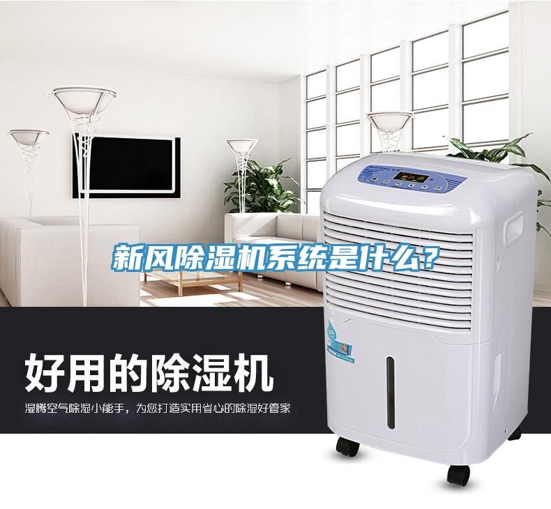 新风小黄片直播视频系统是什么？