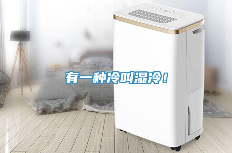 有一种冷叫湿冷！
