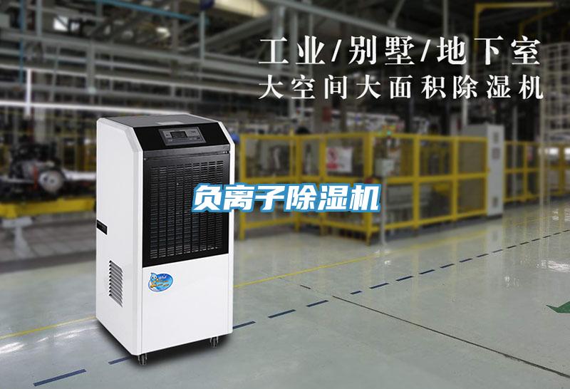 负离子小黄片直播视频