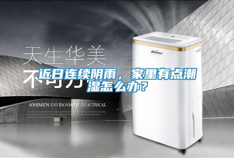 近日连续阴雨，家里有点潮湿怎么办？