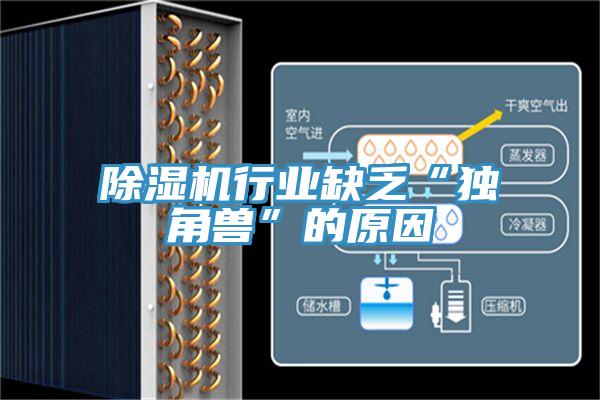小黄片直播视频行业缺乏“独角兽”的原因