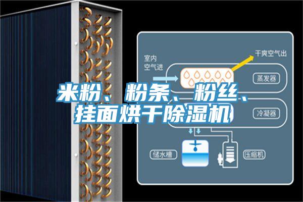 米粉、粉条、粉丝、挂面烘干小黄片直播视频