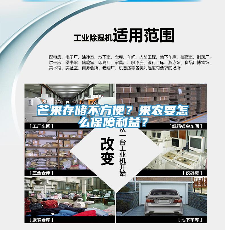 芒果存储不方便？果农要怎么保障利益？