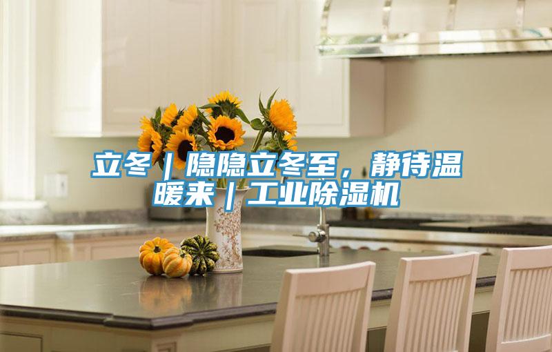 立冬｜隐隐立冬至，静待温暖来｜工业小黄片直播视频