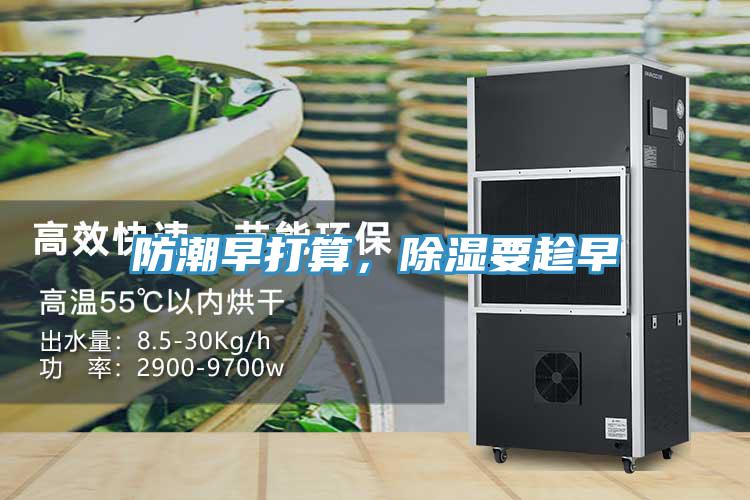 防潮早打算，除湿要趁早