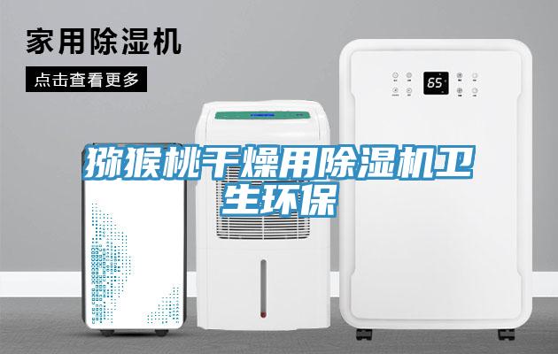 猕猴桃干燥用小黄片直播视频卫生环保