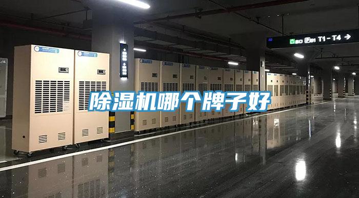 小黄片直播视频哪个牌子好