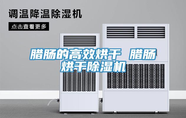 腊肠的高效烘干 腊肠烘干小黄片直播视频