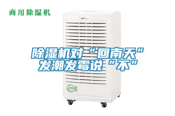 小黄片直播视频对“回南天”发潮发霉说“不”