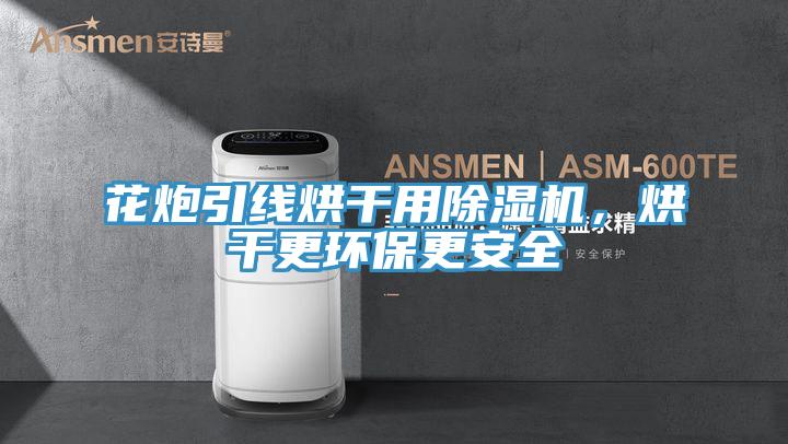 花炮引线烘干用小黄片直播视频，烘干更环保更安全