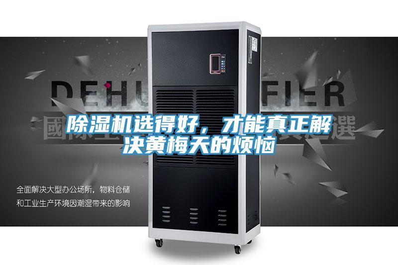 小黄片直播视频选得好，才能真正解决黄梅天的烦恼