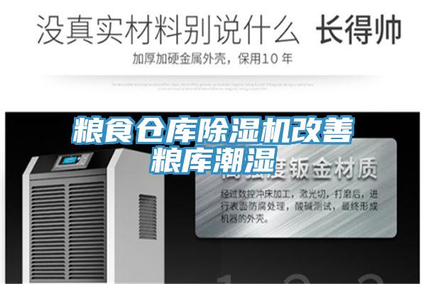 粮食仓库小黄片直播视频改善粮库潮湿