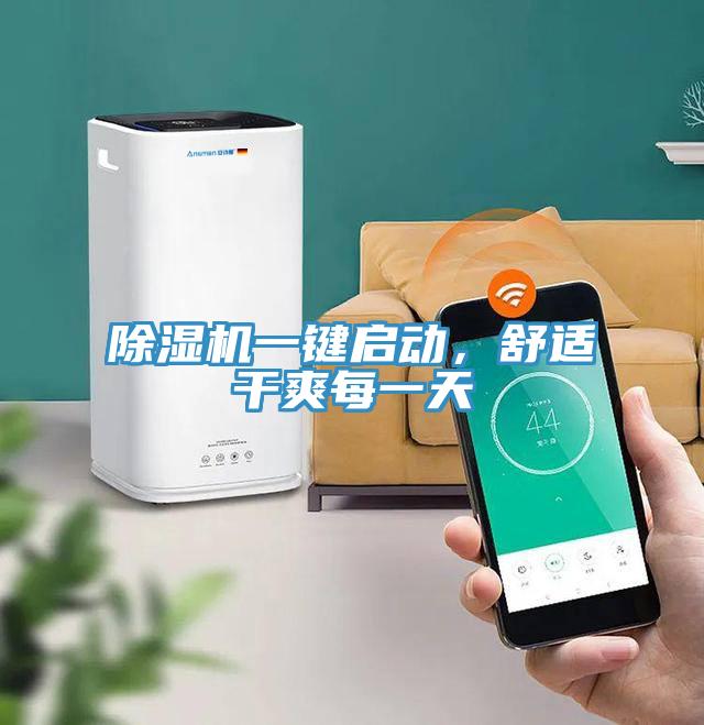 小黄片直播视频一键启动，舒适干爽每一天