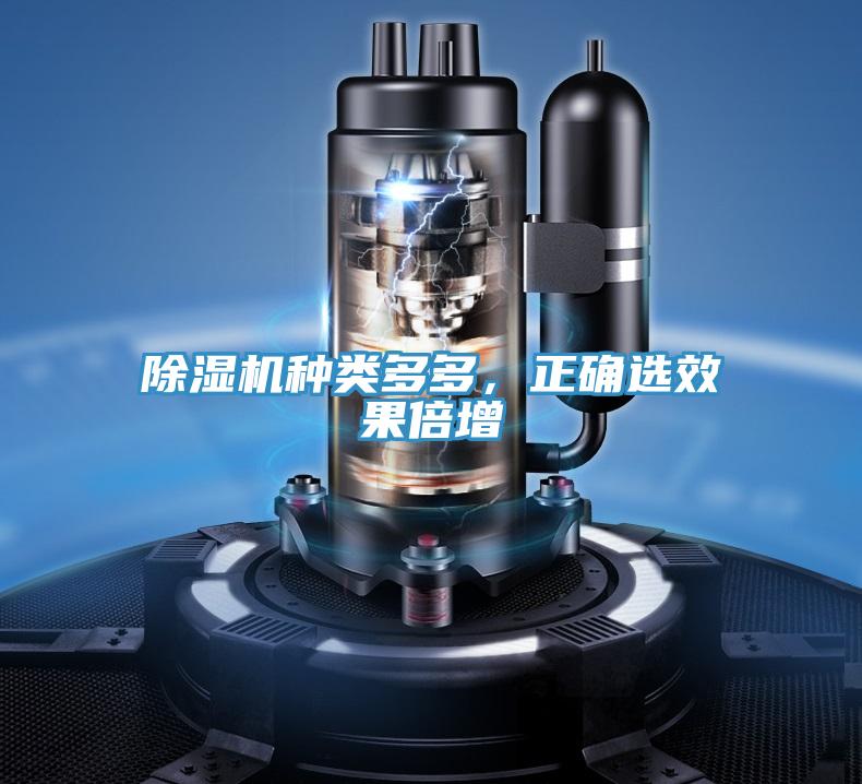 小黄片直播视频种类多多，正确选效果倍增