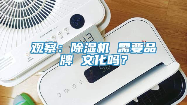 观察：小黄片直播视频 需要品牌 文化吗？