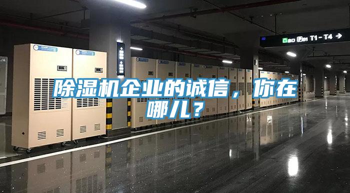 小黄片直播视频企业的诚信，你在哪儿？