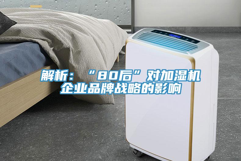 解析：“80后”对加湿机企业品牌战略的影响
