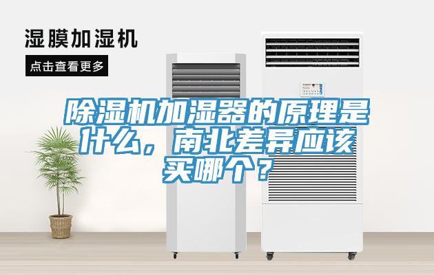 小黄片直播视频加湿器的原理是什么，南北差异应该买哪个？