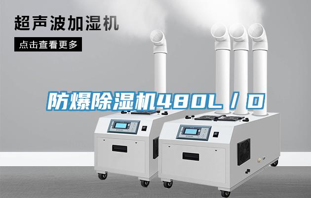 防爆小黄片直播视频480L／D