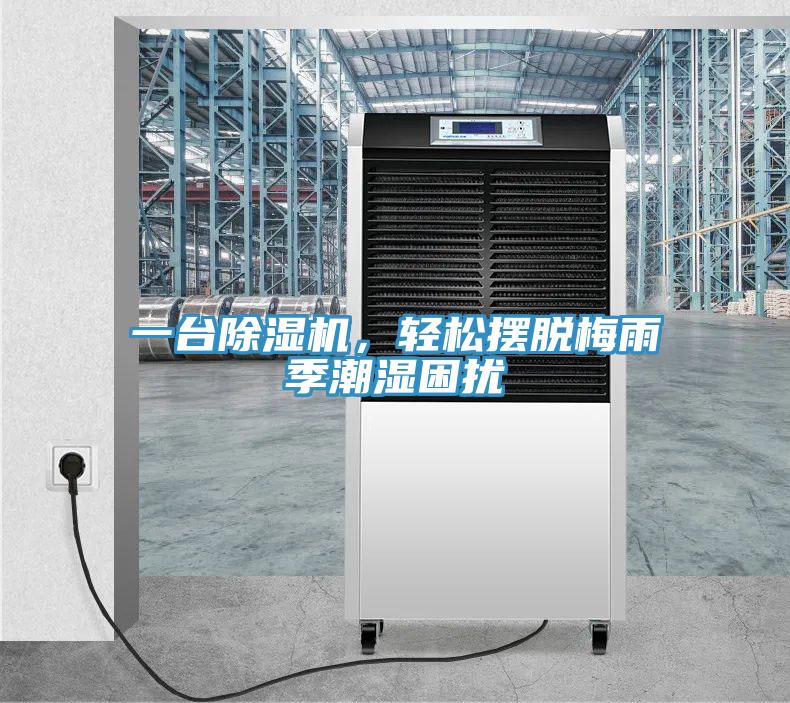 一台小黄片直播视频，轻松摆脱梅雨季潮湿困扰