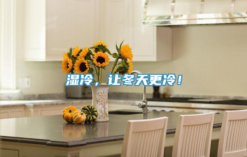 湿冷，让冬天更冷！