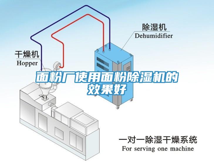 面粉厂使用面粉小黄片直播视频的效果好