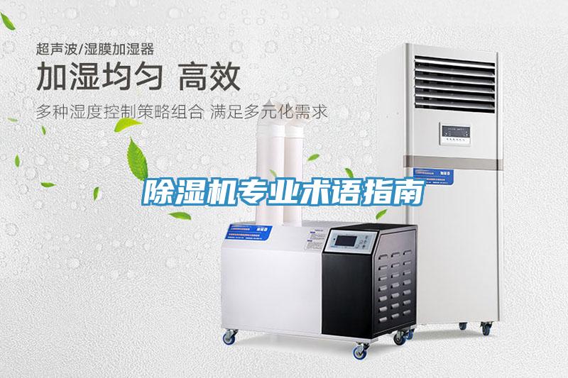 小黄片直播视频专业术语指南