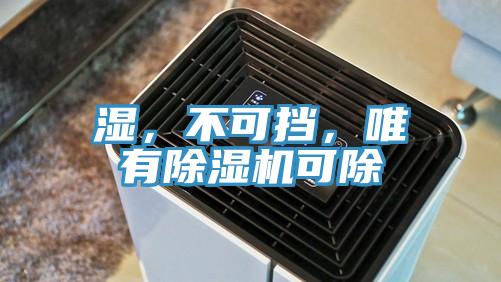 湿，不可挡，唯有小黄片直播视频可除