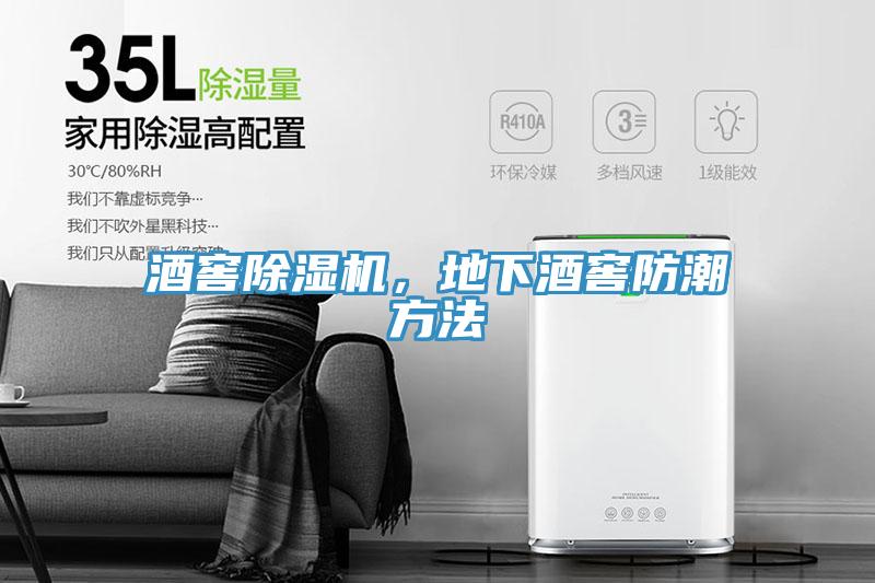 酒窖小黄片直播视频，地下酒窖防潮方法