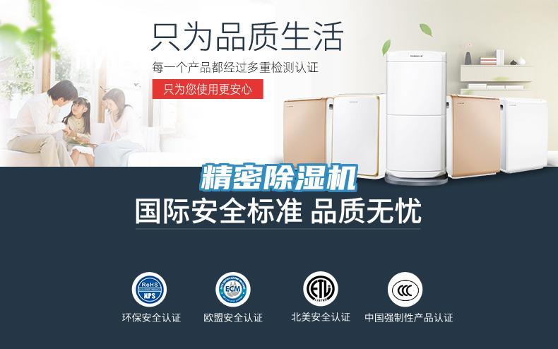 精密小黄片直播视频