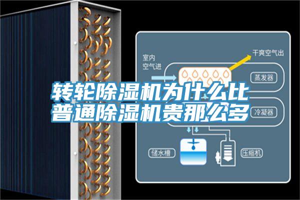转轮小黄片直播视频为什么比普通小黄片直播视频贵那么多
