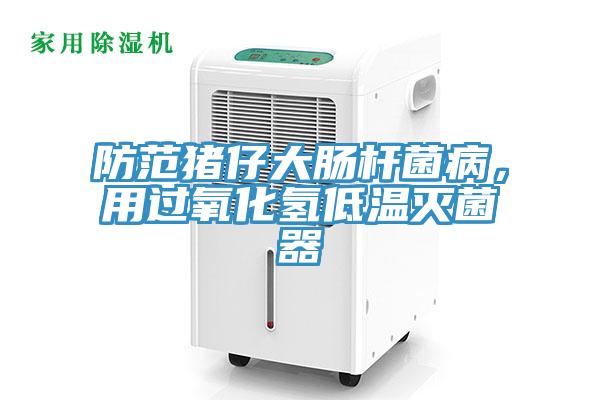 防范猪仔大肠杆菌病，用过氧化氢低温灭菌器