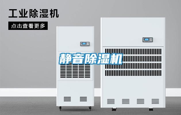 静音小黄片直播视频