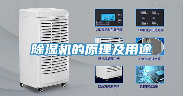 小黄片直播视频的原理及用途