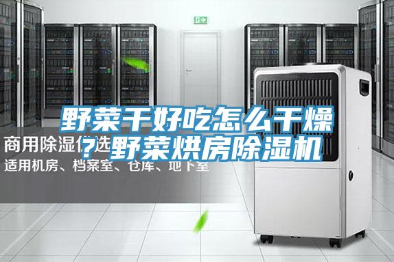 野菜干好吃怎么干燥？野菜烘房小黄片直播视频
