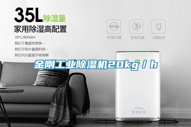 金刚工业小黄片直播视频20kg／h