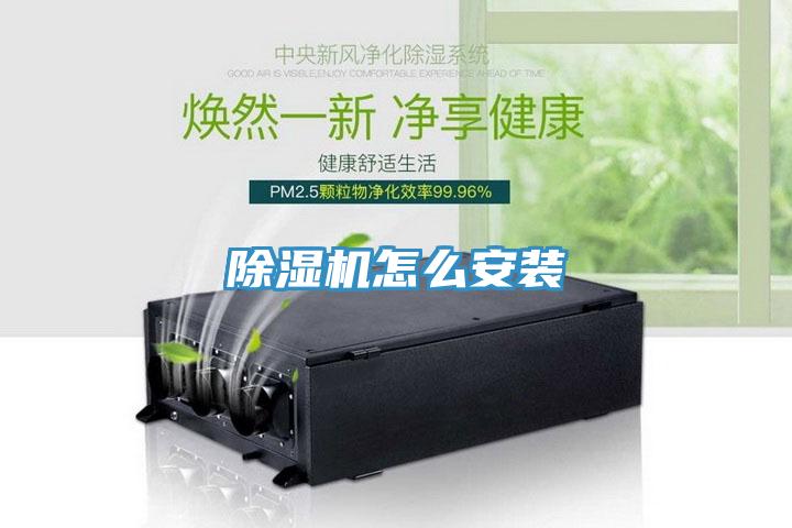 小黄片直播视频怎么安装