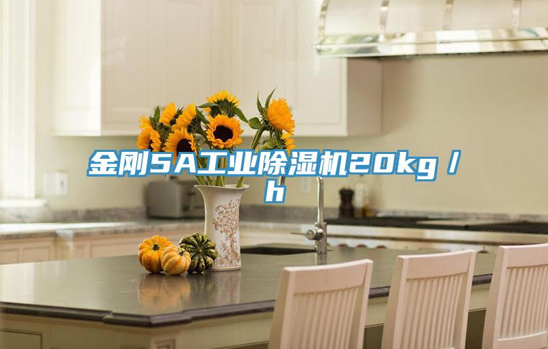 金刚5A工业小黄片直播视频20kg／h