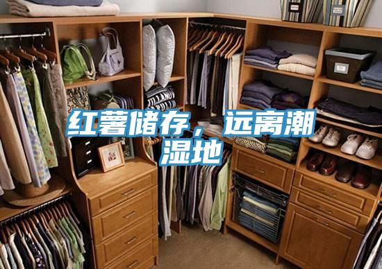红薯储存，远离潮湿地