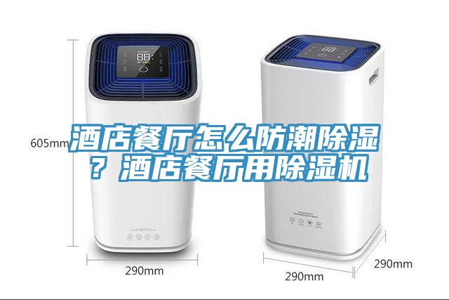 酒店餐厅怎么防潮除湿？酒店餐厅用小黄片直播视频