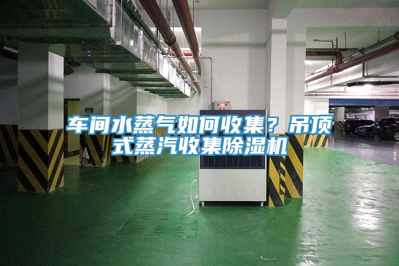 车间水蒸气如何收集？吊顶式蒸汽收集小黄片直播视频