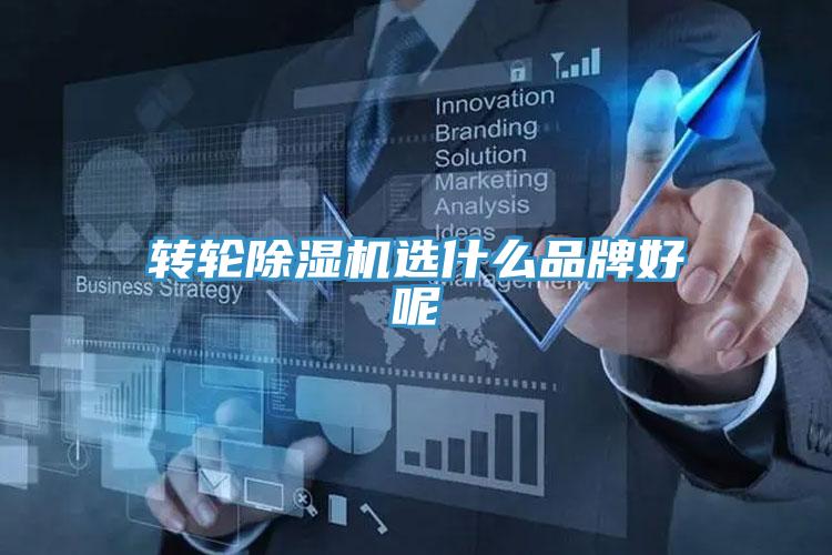 转轮小黄片直播视频选什么品牌好呢