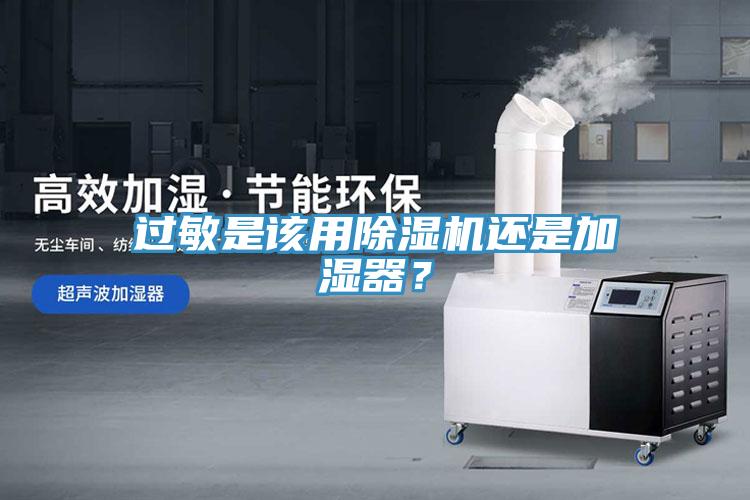 过敏是该用小黄片直播视频还是加湿器？